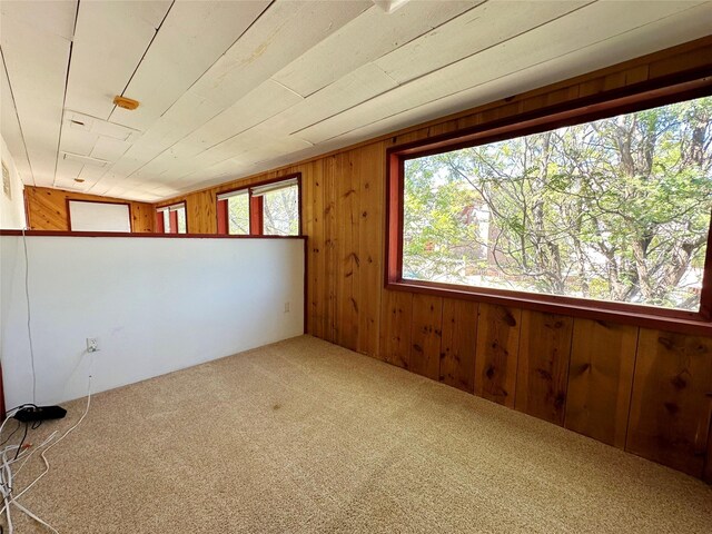 unfurnished room featuring carpet and wood walls