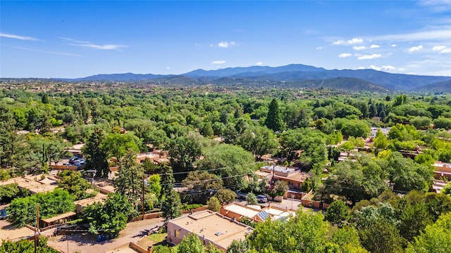 drone / aerial view featuring a mountain view and a view of trees