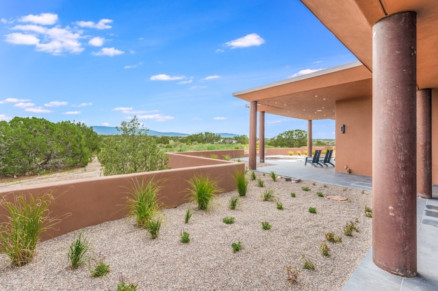 view of yard featuring a patio