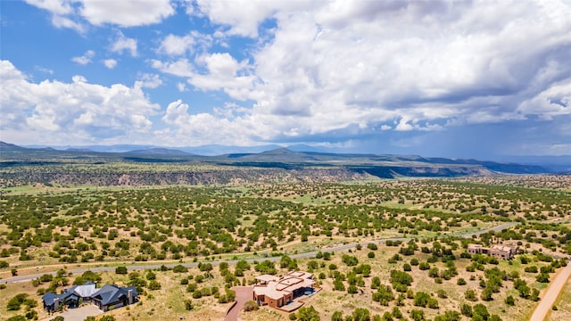 birds eye view of property with a mountain view