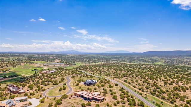 drone / aerial view featuring a mountain view