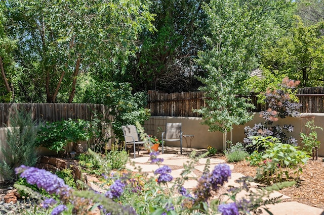 view of yard with a patio