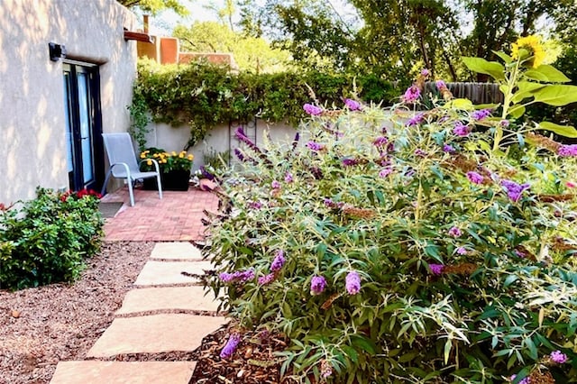 view of yard with a patio