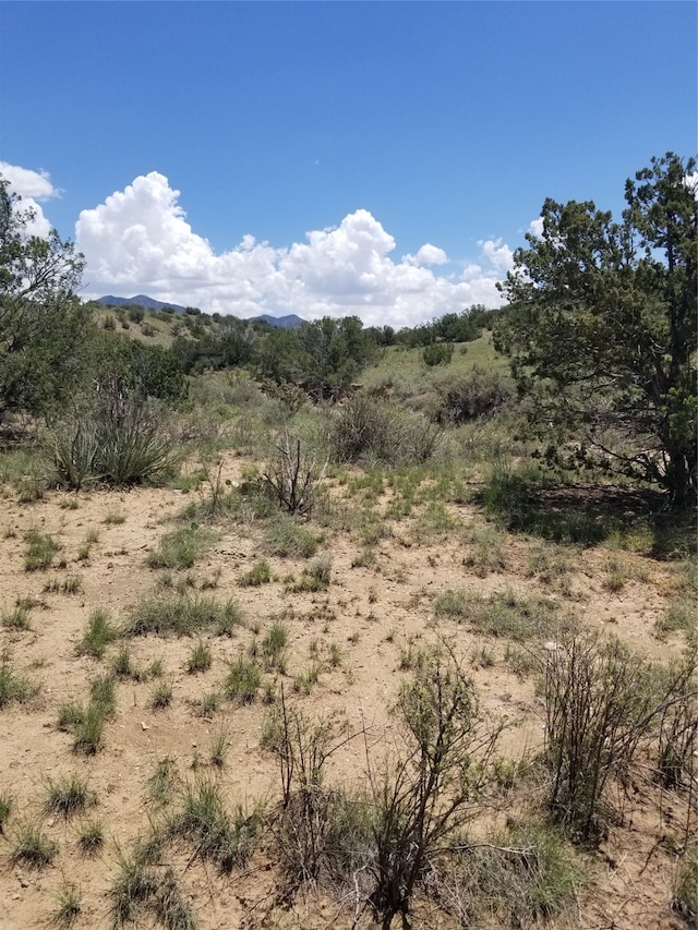 Listing photo 2 for 154 Paseo Sudeste, Cerrillos NM 87010