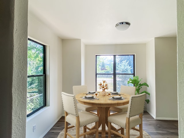 dining room with dark hardwood / wood-style floors