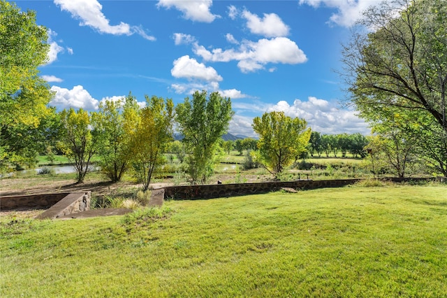 view of yard featuring a water view and a rural view