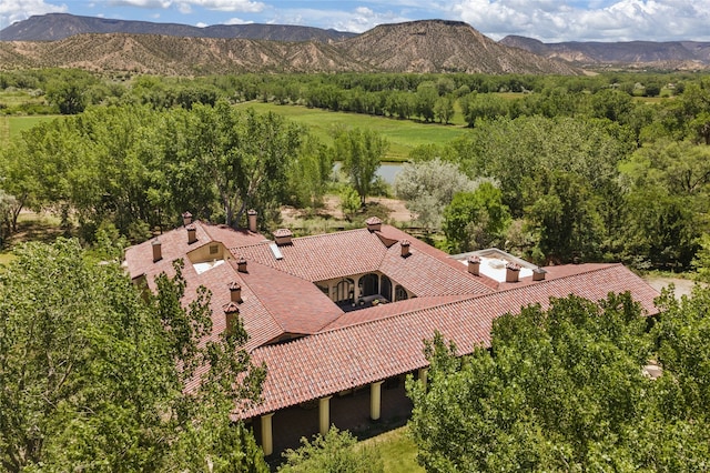 drone / aerial view with a mountain view