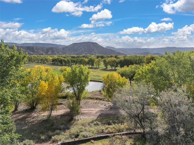 view of mountain feature featuring a water view and a rural view