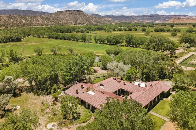 birds eye view of property with a mountain view