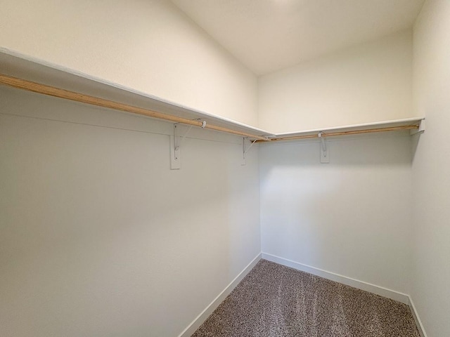 3497 Aster Ln, Santa Fe, NM 87507 - walk in closet featuring carpet