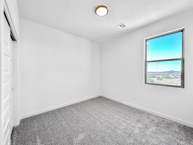 carpeted spare room with a textured ceiling