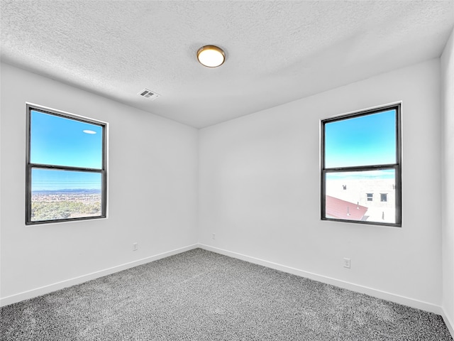 carpeted empty room featuring plenty of natural light and a textured ceiling