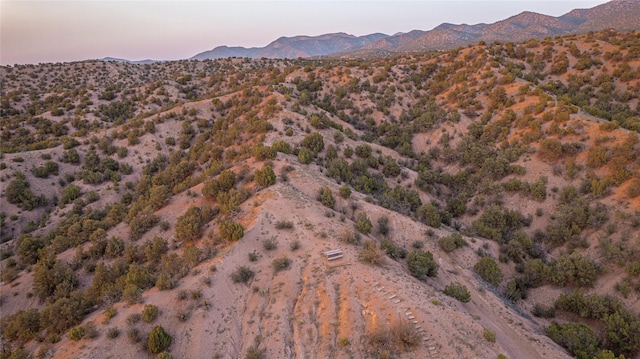 view of mountain feature