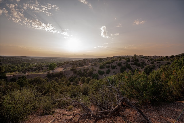 property view of mountains with a wooded view