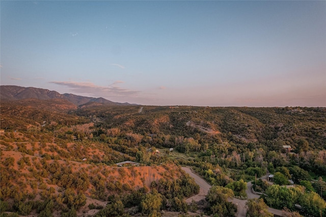 mountain view with a view of trees