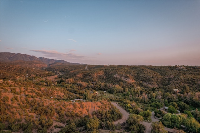 view of mountain feature