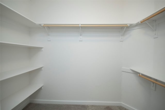 spacious closet featuring carpet floors