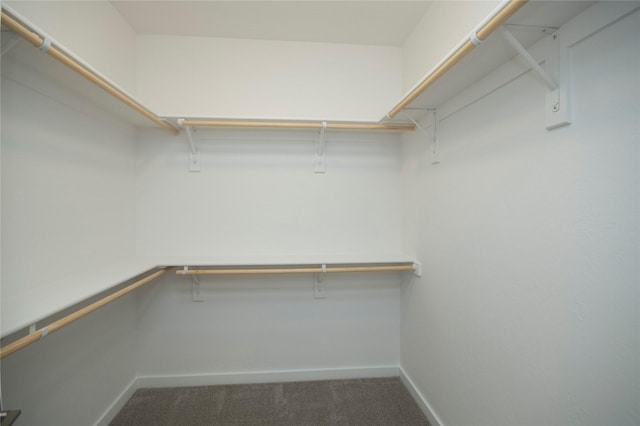 spacious closet featuring dark colored carpet