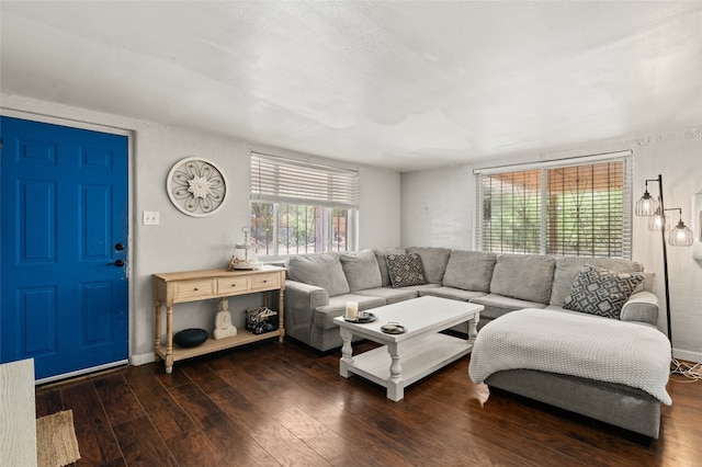 living room featuring dark hardwood / wood-style flooring