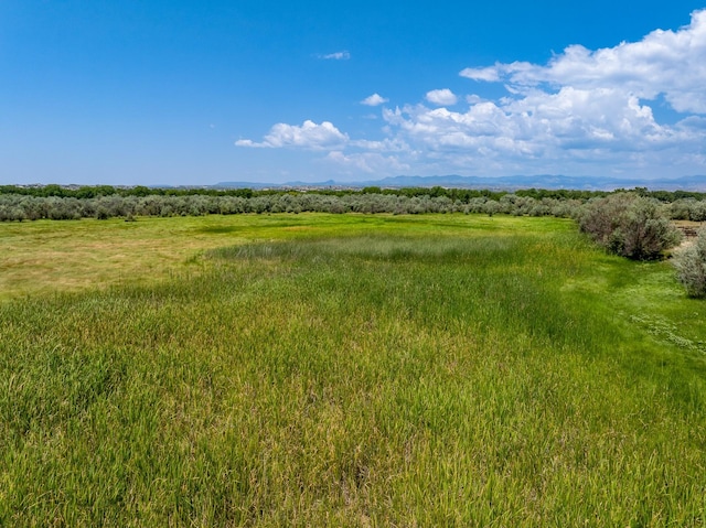 0010 Sparkling Moolah, Pena Blanca, NM 87041