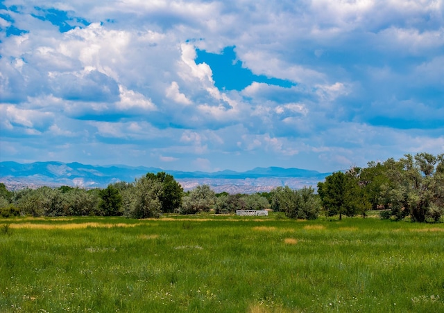 0010 Sparkling Moolah, Pena Blanca, NM 87041