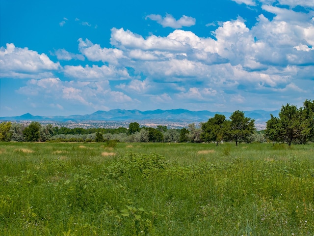 0010 Sparkling Moolah, Pena Blanca, NM 87041