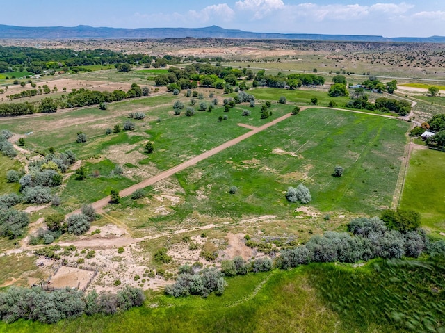 0010 Sparkling Moolah, Pena Blanca, NM 87041