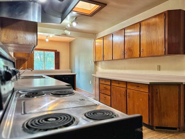 kitchen with a skylight, light wood-style flooring, brown cabinets, light countertops, and a sink