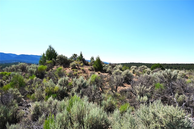 Listing photo 3 for 00 Groffman Rd, Regina NM 87046