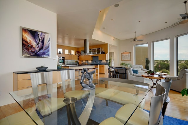 dining space with ceiling fan, sink, and light hardwood / wood-style floors