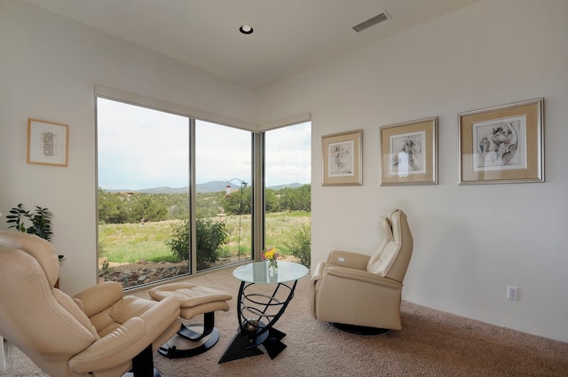 living area featuring carpet floors