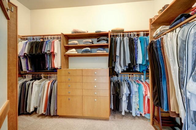 walk in closet with light colored carpet