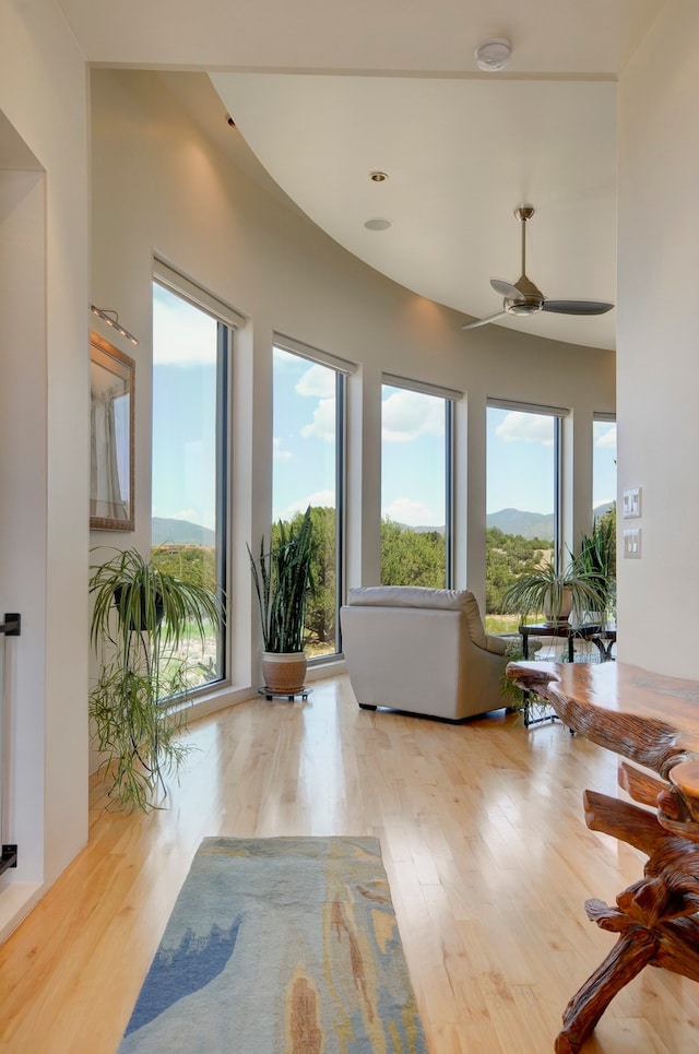 living room featuring ceiling fan and light hardwood / wood-style flooring