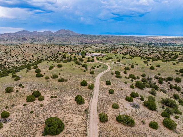 115 Waldo Mesa, Madrid, NM 87010 - view of mountain feature
