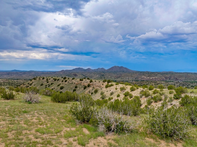 115 Waldo Mesa, Madrid, NM 87010 - mountain view