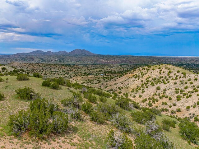 115 Waldo Mesa, Madrid, NM 87010 - view of mountain feature
