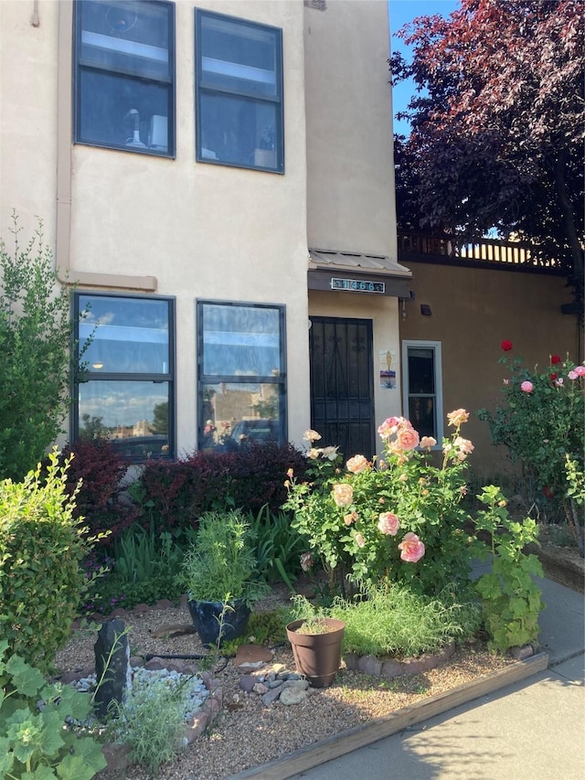 entrance to property featuring stucco siding