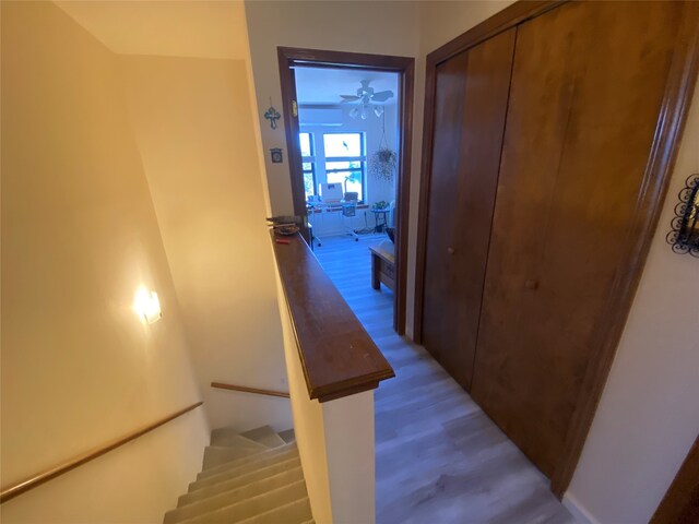 interior space featuring wood-type flooring