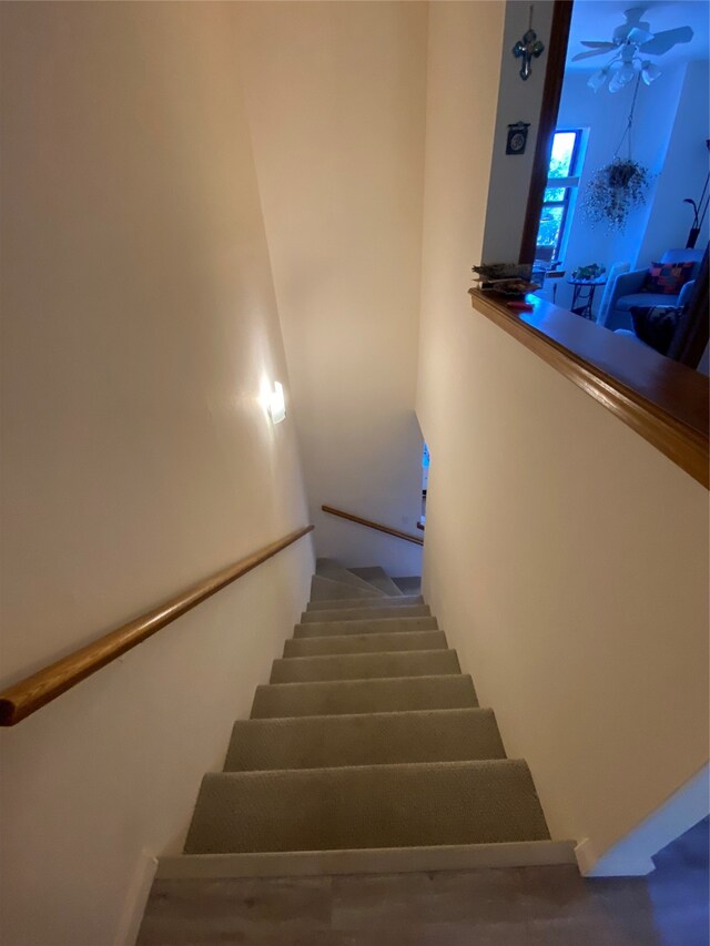 staircase with ceiling fan