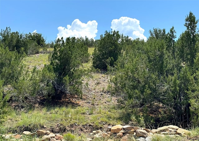 16 Goldmine Rd, Cerrillos NM, 87010 land for sale