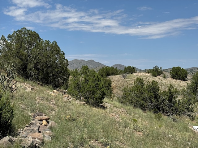 Listing photo 3 for 16 Goldmine Rd, Cerrillos NM 87010