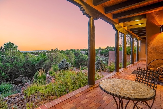 view of patio terrace at dusk