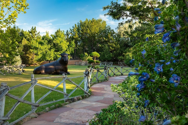 view of home's community with a lawn