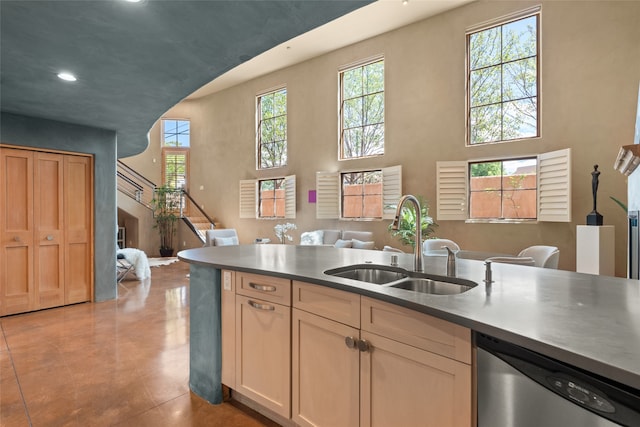 kitchen with a high ceiling, dishwasher, and sink