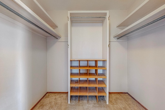 spacious closet featuring light carpet