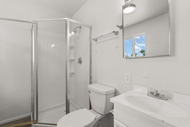 full bath featuring toilet, vanity, and a shower stall