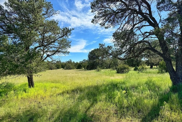 125 Tierra Del Dios, Rowe, NM 87562 - view of local wilderness