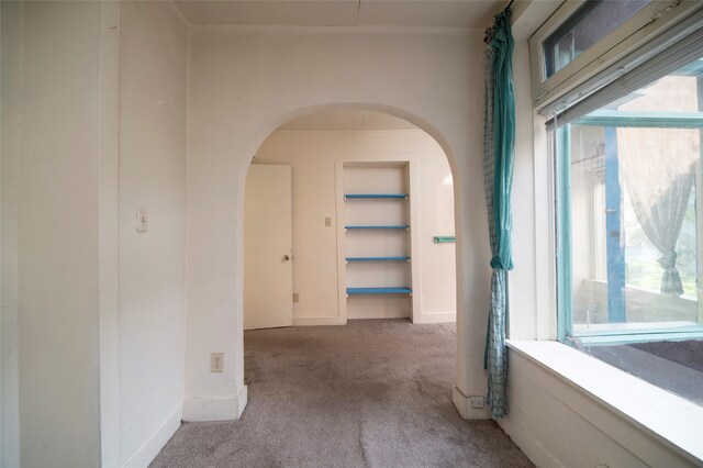 corridor featuring a wealth of natural light and light colored carpet