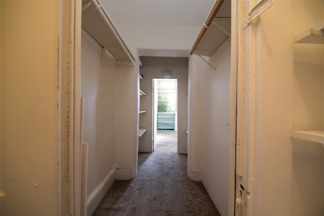 spacious closet featuring dark carpet