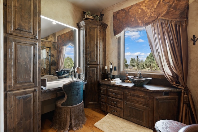 bathroom featuring a wealth of natural light, hardwood / wood-style flooring, and vanity